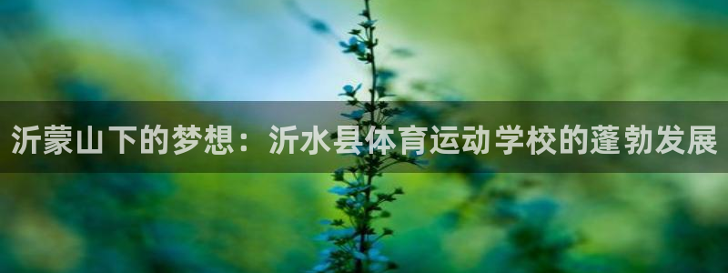 米兰体育官网下载平台假的吗是真的吗：沂蒙山下的梦想：