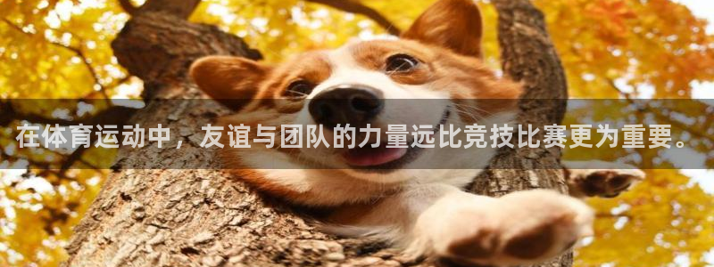 米兰体育官网下载招商电话是多少号码：在体育运动中，友