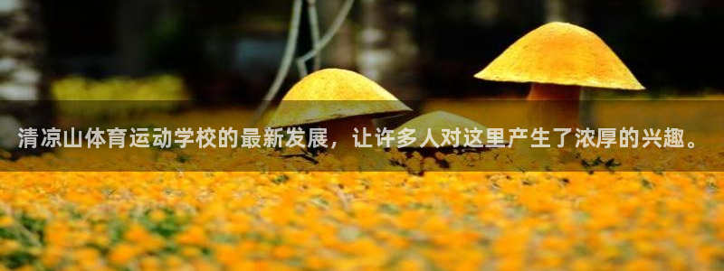 米兰体育官网下载软件