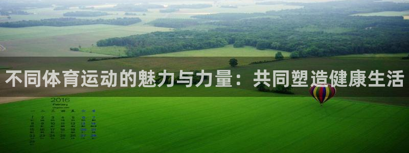 米兰体育官网下载平台注册流程视频：不同体育运动的魅力