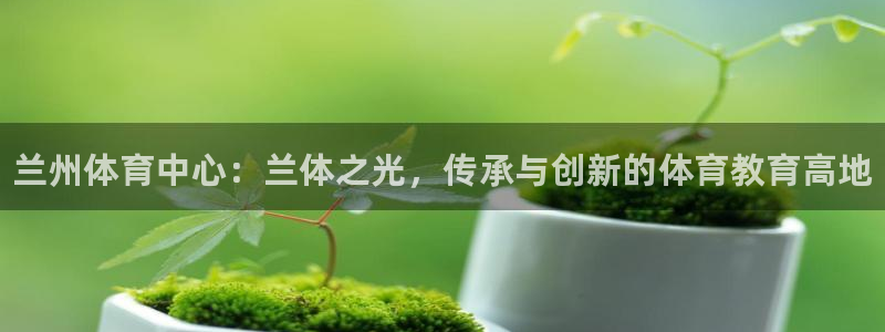 米兰体育官网下载娱乐：兰州体育中心：兰体之光，传承与创新的体