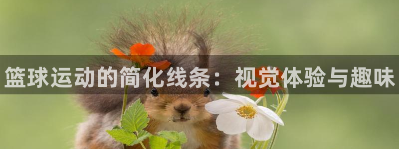 米兰体育官网下载平台注册流程图：篮球运动的简化线条：视觉体验