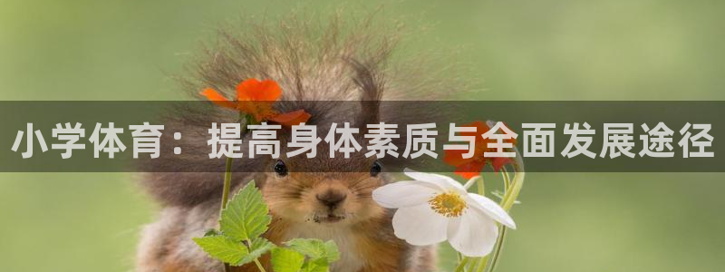 米兰体育官网下载平台是正规平台吗安全吗：小学体育：提高身体素