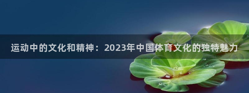 米兰体育官网下载官方客服电话：运动中的文化和精神：2023年