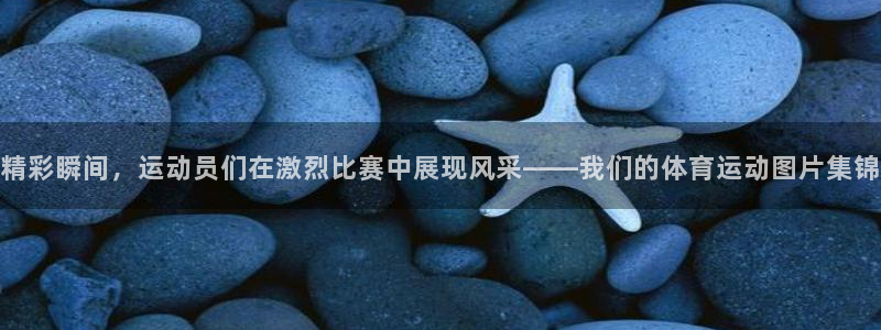 海南米兰体育官网下载：精彩瞬间，运动员们在激烈比赛中