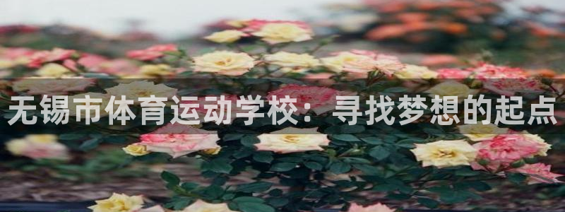 米兰体育官网下载平台是正规平台吗知乎：无锡市体育运动学校：寻