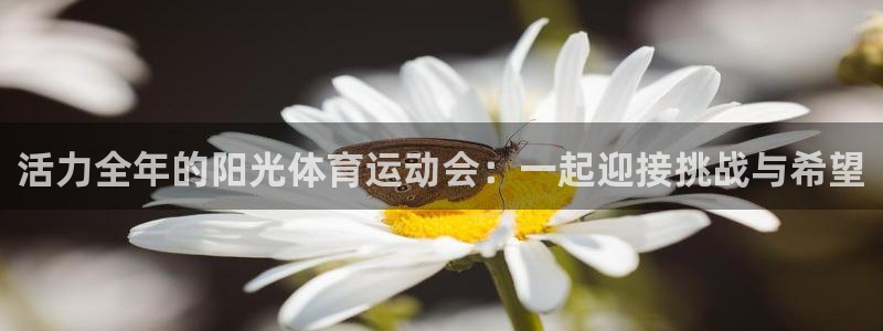 米兰体育官网下载平台注册流程图：活力全年的阳光体育运动会：一
