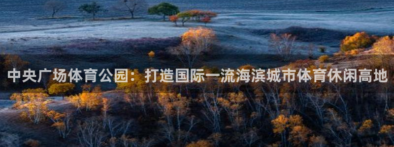 米兰体育官网下载招商电话地址是多少：中央广场体育公园