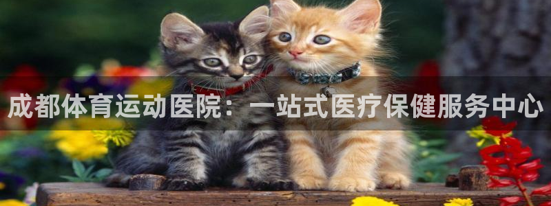 米兰体育官方正版app娱乐下载：成都体育运动医院：一站式医疗