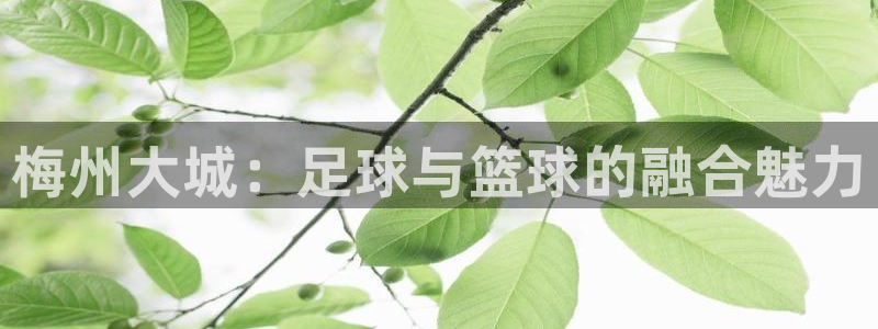 米兰体育官网下载软件：梅州大城：足球与篮球的融合魅力