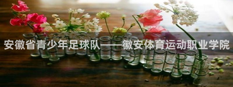 米兰体育官网下载平台注册要钱吗